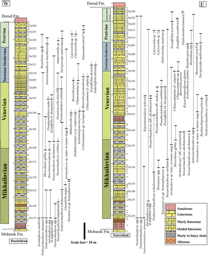 Details are in the caption following the image Details are in the caption following the image
