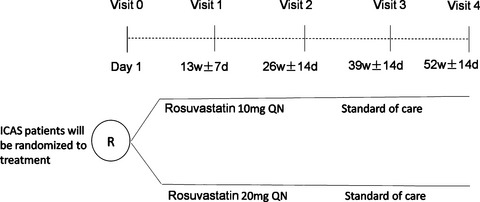 Cerebral blood flow evaluation of intensive rosuvastatin therapy in stroke/transient ischemic attack patients with intracranial arterial atherosclerotic stenosis study: Rationale and design