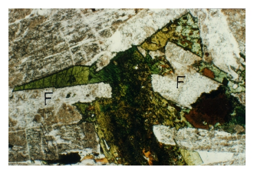 Details are in the caption following the image