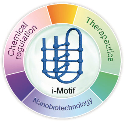 Chemical Regulation of DNA i-Motifs for Nanobiotechnology and Therapeutics
