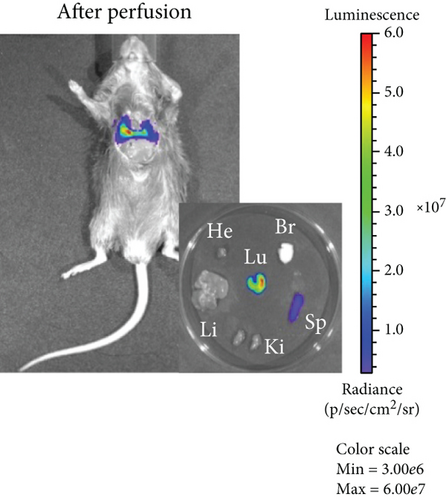 Details are in the caption following the image