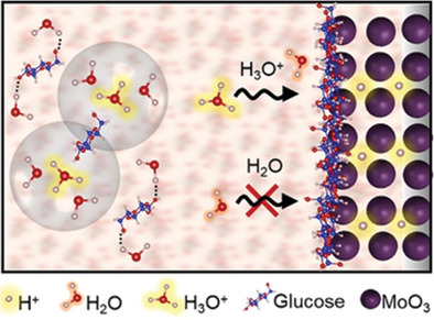 “Water-in-Sugar” Electrolytes Enable Ultrafast and Stable Electrochemical Naked Proton Storage