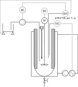 Closed-Loop Control of Reactive Crystallization PART II: Polymorphism Control of L-Glutamic Acid by Sonocrystallization and Seeding
