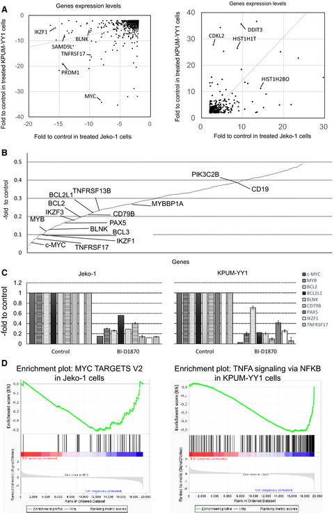 Serine-227 in the N-terminal kinase domain of RSK2 is a potential therapeutic target for mantle cell lymphoma