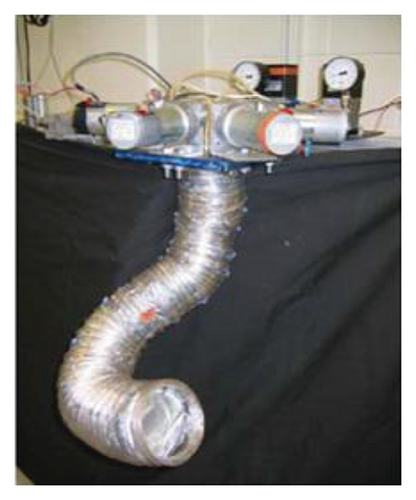 Details are in the caption following the image