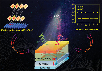 Heterogeneous Integration of Chiral Lead–Chloride Perovskite Crystals with Si Wafer for Boosted Circularly Polarized Light Detection in Solar-Blind Ultraviolet Region