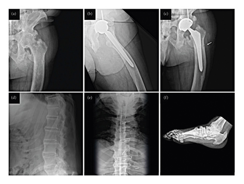Details are in the caption following the image Details are in the caption following the image
