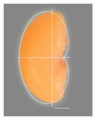 Details are in the caption following the image