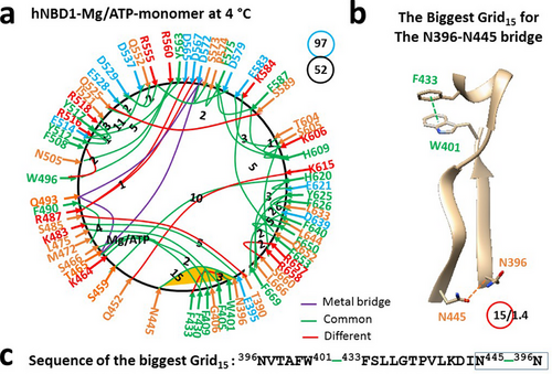 Details are in the caption following the image Details are in the caption following the image