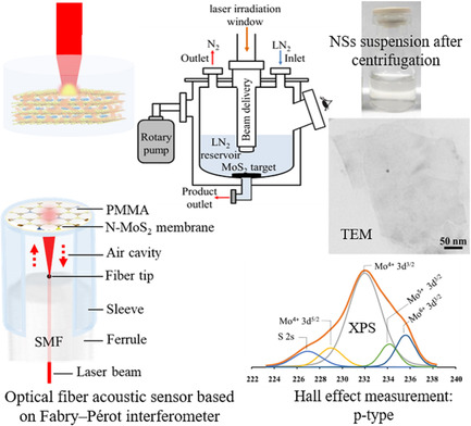 Synthesis, Characterization, and Typical Application of Nitrogen-Doped MoS2 Nanosheets Based on Pulsed Laser Ablation in Liquid Nitrogen