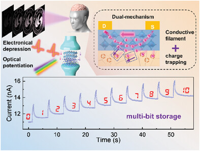All-Inorganic Lead-Free Cs₂AgBiBr₆/ZnO Artificial Retina Synapse Based on Photoelectric Synergistic Dual-Mechanism for Neuromorphic Computing