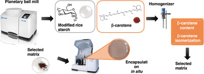 Co-Joined Starch Modification and β-Carotene Dispersion In Situ by Planetary Ball Milling