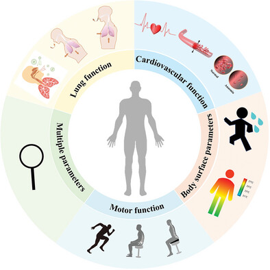 Flexible Optical Fiber Sensor for Non-Invasive Continuous Monitoring of Human Physiological Signals