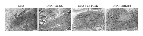 Details are in the caption following the image Details are in the caption following the image