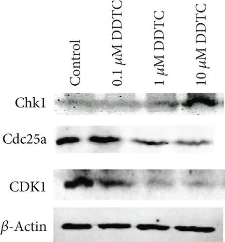 Details are in the caption following the image