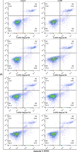 Details are in the caption following the image Details are in the caption following the image