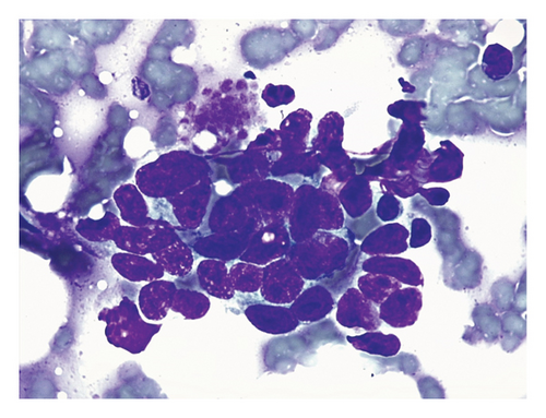 Details are in the caption following the image