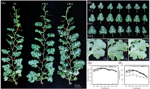 Details are in the caption following the image Details are in the caption following the image