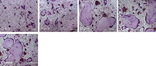 Details are in the caption following the image Details are in the caption following the image