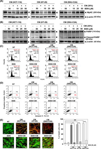 Details are in the caption following the image Details are in the caption following the image