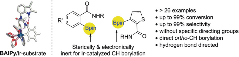 Hydrogen Bond Directed ortho-Selective C−H Borylation of Secondary Aromatic Amides