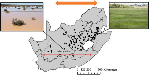 Changes in plant functional composition of wetland vegetation along an aridity gradient on the Highveld plateau of South Africa