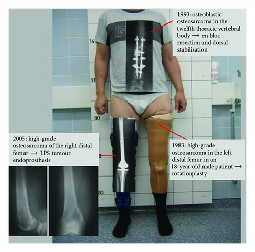 Details are in the caption following the image Details are in the caption following the image