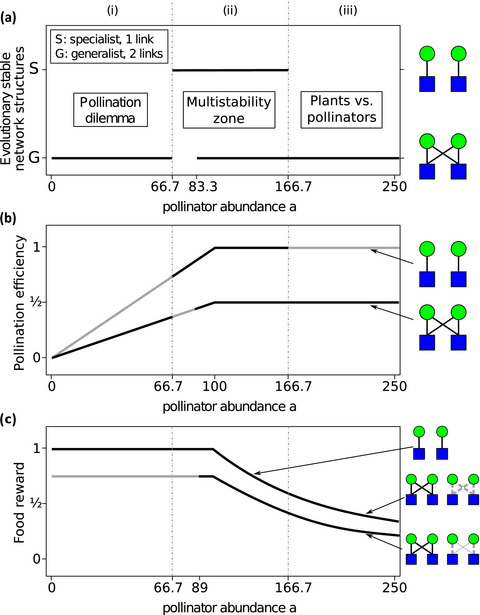 Evolutionary stability of plant–pollinator networks: efficient communities and a pollination dilemma