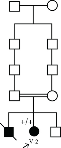 Details are in the caption following the image