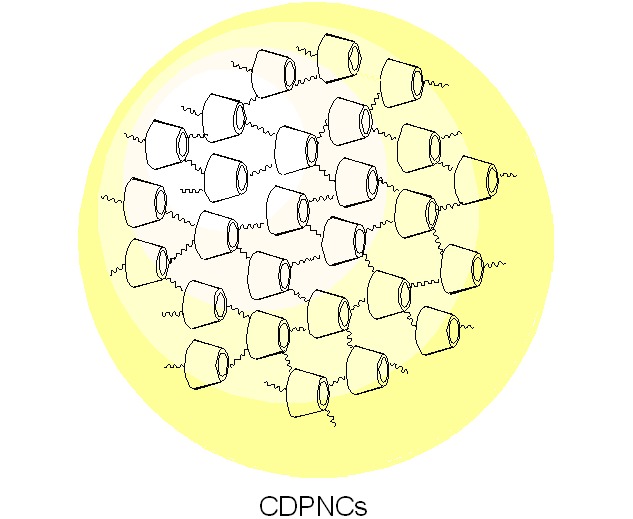 Cyclodextrin-Based Porous Nanocapsules