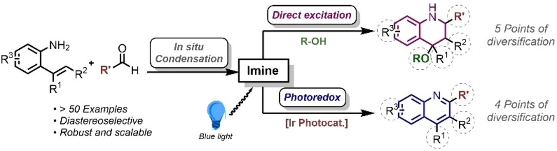 Visible Light-Mediated Cyclisation Reaction for the Synthesis of Highly-Substituted Tetrahydroquinolines and Quinolines