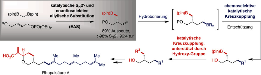 Catalytic SN2′- and Enantioselective Allylic Substitution with a Diborylmethane Reagent and Application in Synthesis