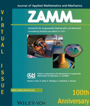 100th Jubilee of ZAMM Journal: Historical Anniversary Articles