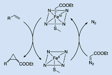 Neuartige Enzyme