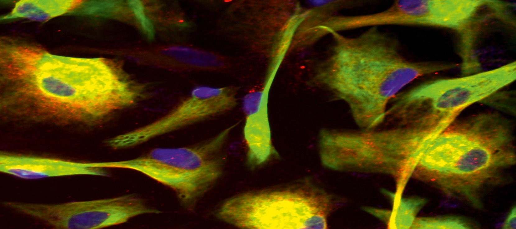 Issue Cover (February 2015)
