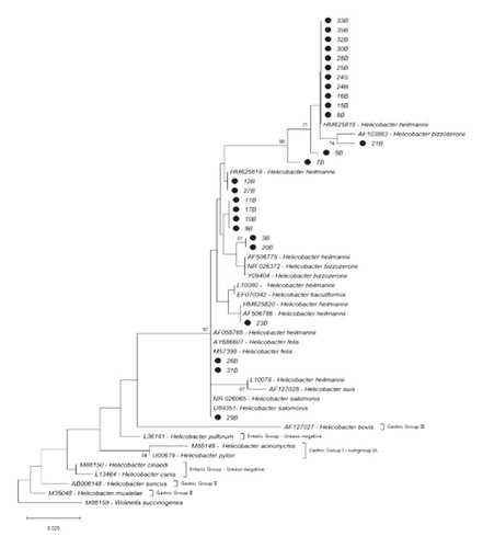Details are in the caption following the image Details are in the caption following the image