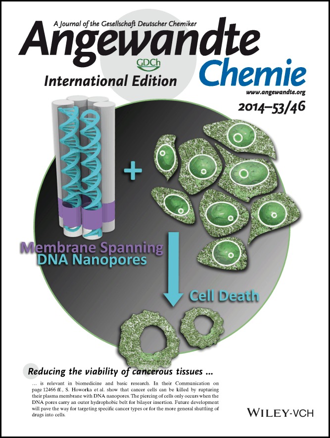 Back Cover: Membrane-Spanning DNA Nanopores with Cytotoxic Effect (Angew. Chem. Int. Ed. 46/2014)