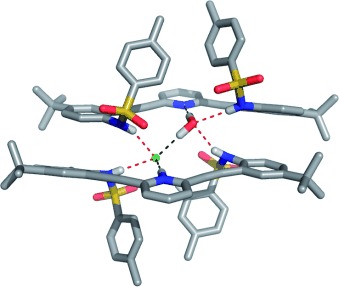 Water and Hydrogen Halides Serve the Same Structural Role in a Series of 2+2 Hydrogen-Bonded Dimers Based on 2,6-Bis(2-anilinoethynyl)pyridine Sulfonamide Receptors