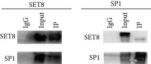 Details are in the caption following the image