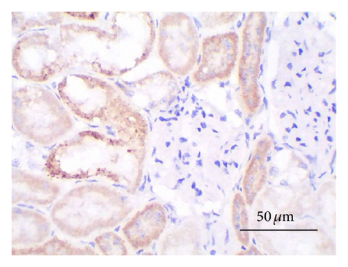 Details are in the caption following the image
