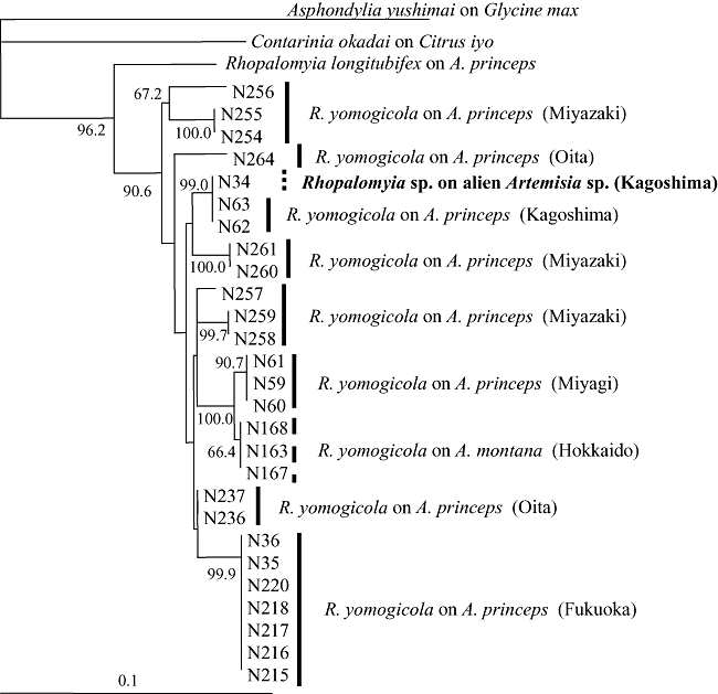 Details are in the caption following the image Details are in the caption following the image