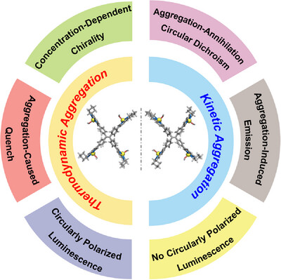 Homochiral metalated tetraphenylethylene-based organic cages: Unusual chiral and luminescent behavior depending on thermodynamic and kinetic aggregation Issue 5, 2024