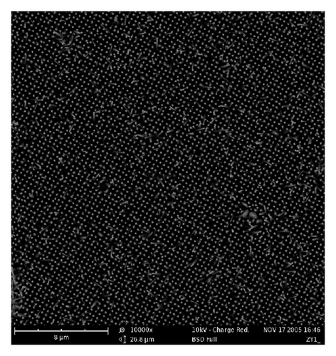 Details are in the caption following the image