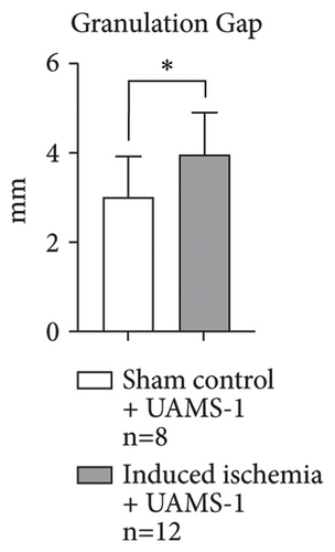 Details are in the caption following the image
