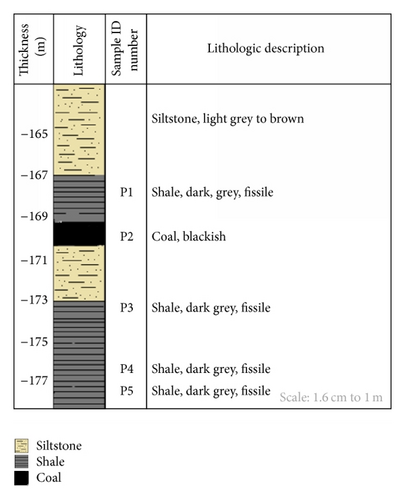 Details are in the caption following the image
