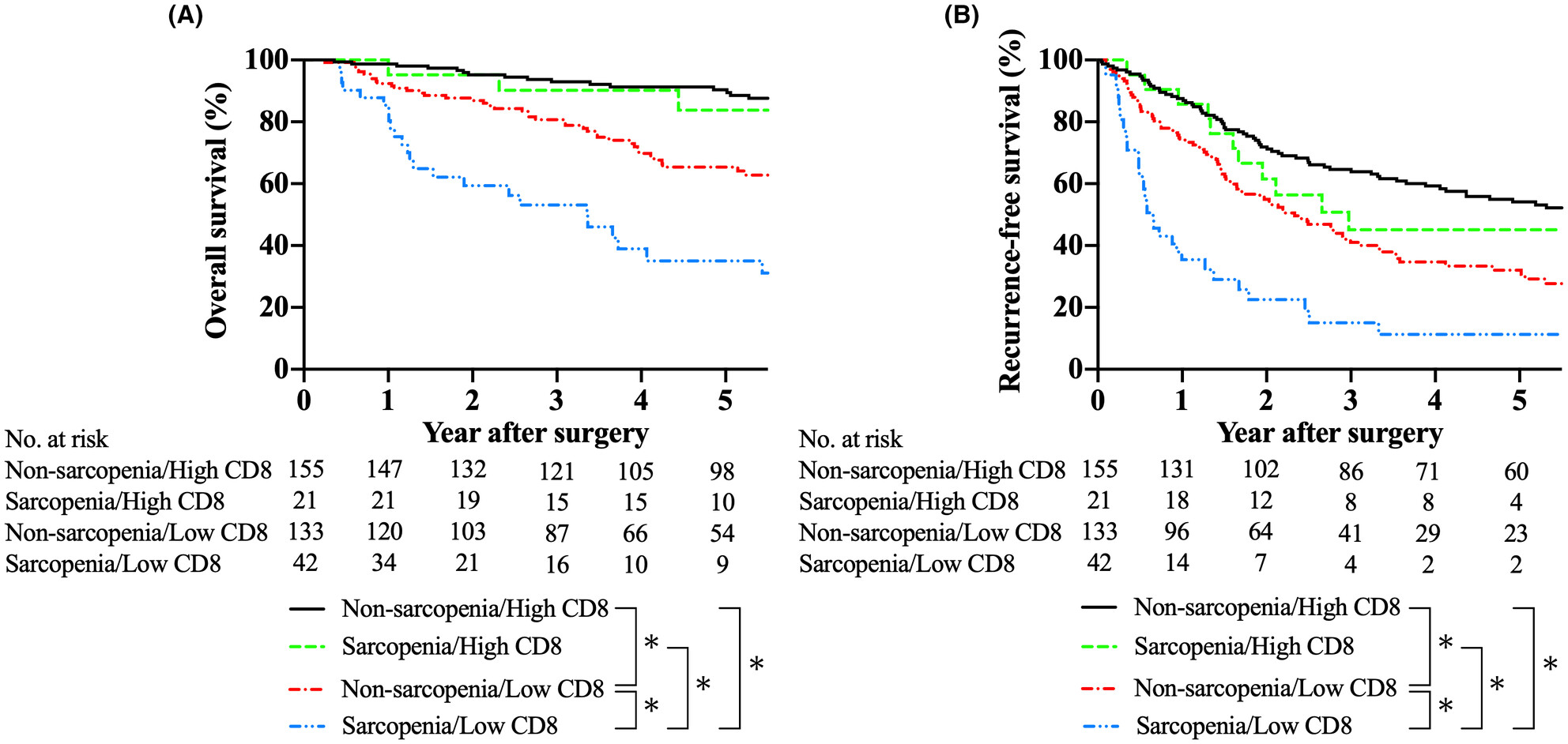 Prognostic relevance of sarcopenia and tumor-infiltrating CD8+ T cells in patients with hepatocellular carcinoma