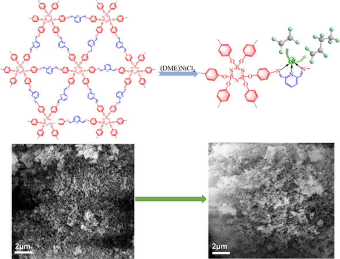 Imine-linked covalent organic frameworks coordinated with nickel for ethylene oligomerization
