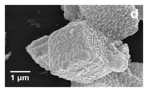 Details are in the caption following the image