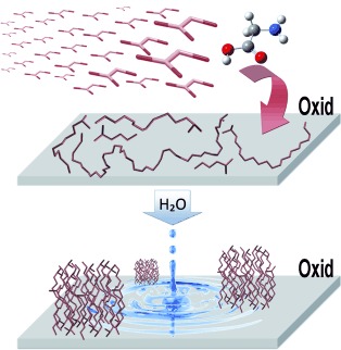 The Formation and Self-Assembly of Long Prebiotic Oligomers Produced by the Condensation of Unactivated Amino Acids on Oxide Surfaces