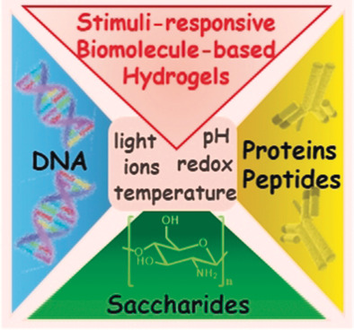 Stimuli-Responsive Biomolecule-Based Hydrogels and Their Applications